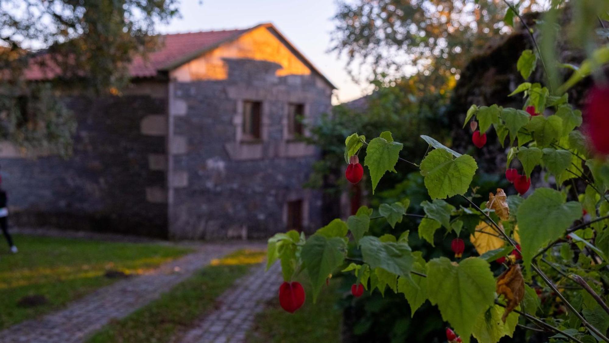 Casa Dos Do Carvalho - Miradouro Da Branda Villa Branda de Santo António Buitenkant foto